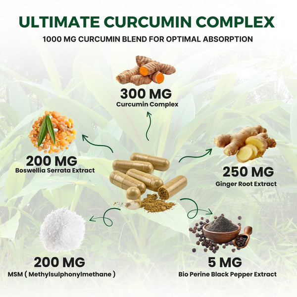 VEYORA Curcumin Complex 1000mg | Curcumin 95% + Boswellia + MSM | 60 Vegan Capsules