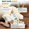 VEYORA Lion's Mane Complex 1000mg | Bacopa + Citicoline | 60 Vegan Capsules