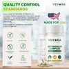VEYORA Astragalus Complex 1000 mg | Astragalus Root, Elderberry & Beta-Glucans | with Vitamin D3, K2, Zinc & Selenium | 60 Vegan Capsules | Made for USA