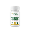 Astragalus complex