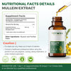 VEYORA Mullein Leaf Drops | 4 fl oz | Astragalus + Licorice Root | 1200mg per Serving | 120 Servings