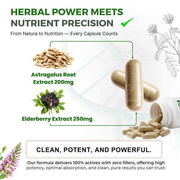 VEYORA Astragalus Complex 1000 mg | Astragalus Root, Elderberry & Beta-Glucans | with Vitamin D3, K2, Zinc & Selenium | 60 Vegan Capsules | Made for USA