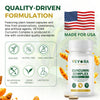 VEYORA Curcumin Complex 1000mg | Curcumin 95% + Boswellia + MSM | 60 Vegan Capsules