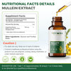 VEYORA Mullein Leaf Drops with Astragalus & Licorice Root - 4 fl oz Liquid Supplement - Herbal Extract Drops - 1200mg Per Serving - Vegan, Non-GMO, Gluten Free - 120 Servings
